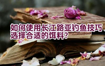 如何使用长江路亚钓鱼技巧选择合适的饵料？插图