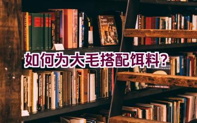 如何为大毛搭配饵料？插图