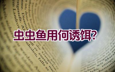 虫虫鱼用何诱饵？插图