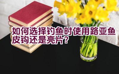 如何选择钓鱼时使用路亚鱼皮钩还是亮片？插图