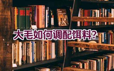 大毛如何调配饵料？插图