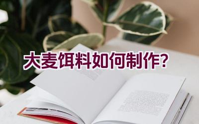 大麦饵料如何制作？插图