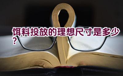饵料投放的理想尺寸是多少？插图