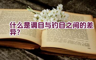 什么是调目与钓目之间的差异？插图