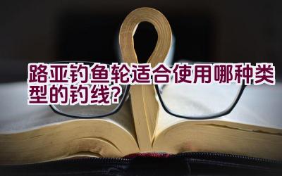 路亚钓鱼轮适合使用哪种类型的钓线？插图