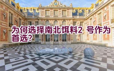 “为何选择南北饵料2号作为首选？”插图