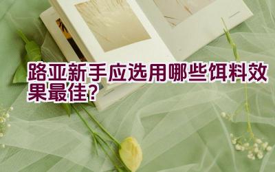 路亚新手应选用哪些饵料效果最佳？插图
