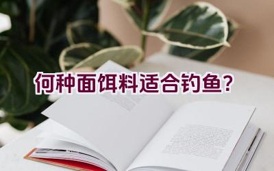 何种面饵料适合钓鱼？插图
