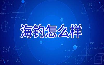 海钓怎么样插图