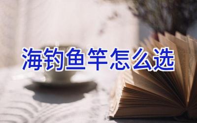 海钓鱼竿怎么选插图