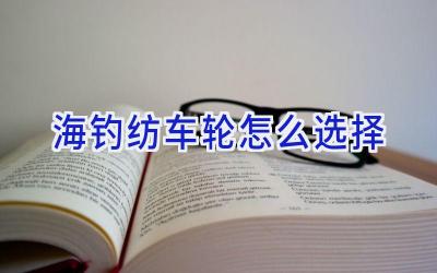 海钓纺车轮怎么选择插图