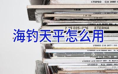 海钓天平怎么用插图