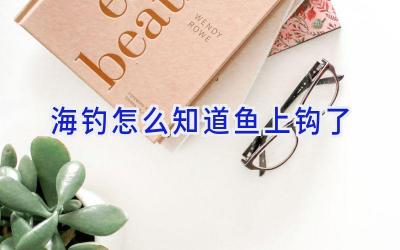 海钓怎么知道鱼上钩了插图