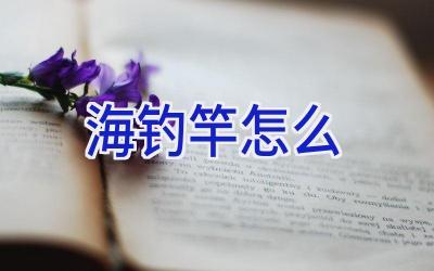 海钓竿怎么插图