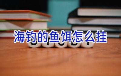 海钓的鱼饵怎么挂插图