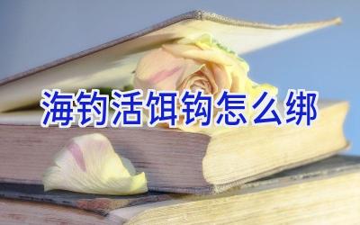 海钓活饵钩怎么绑插图