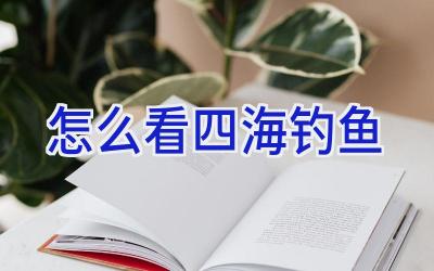 怎么看四海钓鱼插图
