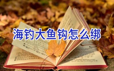 海钓大鱼钩怎么绑插图