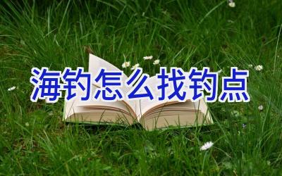 海钓怎么找钓点插图