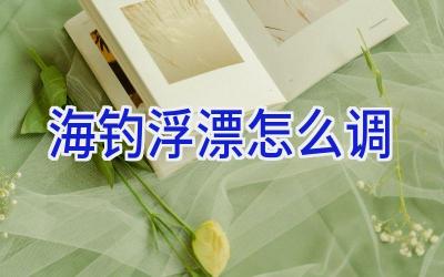 海钓浮漂怎么调插图
