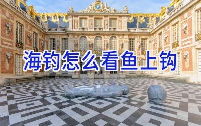 海钓怎么看鱼上钩插图 海钓怎么看鱼上钩插图