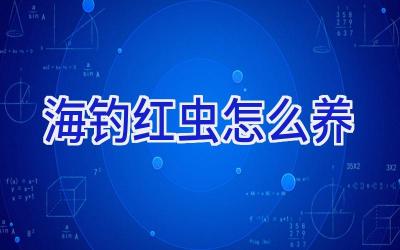 海钓红虫怎么养插图