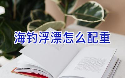 海钓浮漂怎么配重插图
