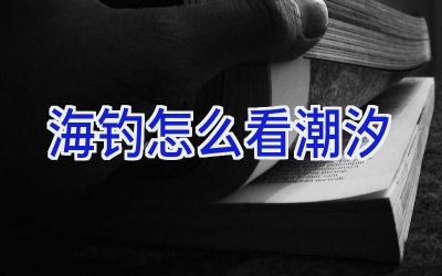 海钓怎么看潮汐插图