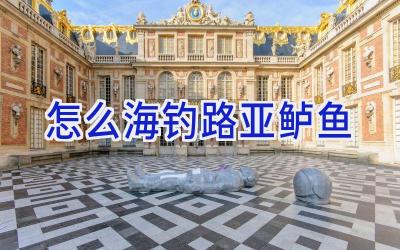 怎么海钓路亚鲈鱼插图 怎么海钓路亚鲈鱼插图