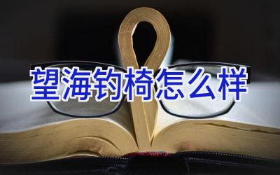 望海钓椅怎么样插图