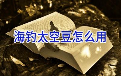 海钓太空豆怎么用插图