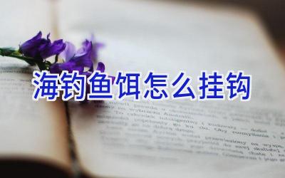 海钓鱼饵怎么挂钩插图
