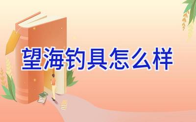 望海钓具怎么样插图