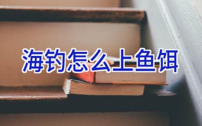 海钓怎么上鱼饵插图