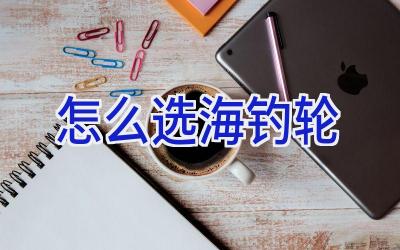 怎么选海钓轮插图