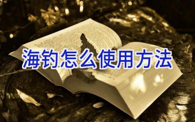 海钓怎么使用方法插图