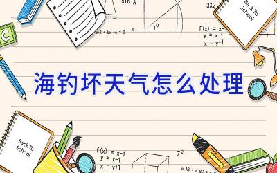 海钓坏天气怎么处理插图