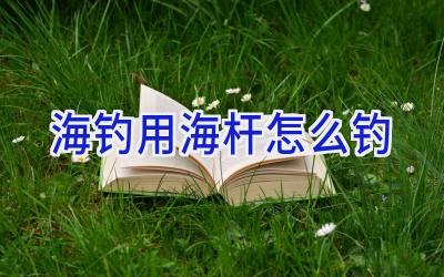 海钓用海杆怎么钓插图