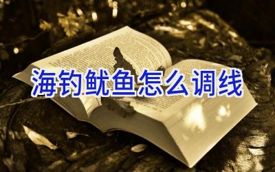 海钓鱿鱼怎么调线插图