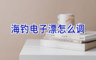 海钓电子漂怎么调插图