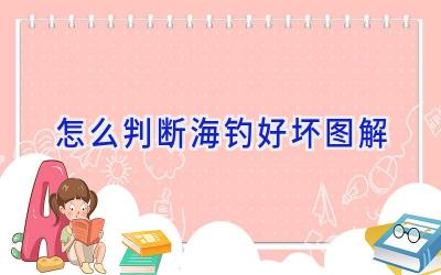 怎么判断海钓好坏图解插图