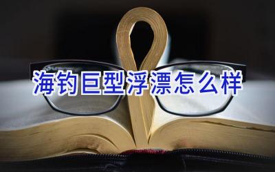 海钓巨型浮漂怎么样插图