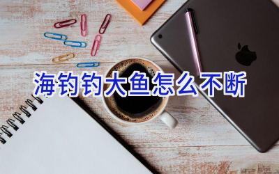 海钓钓大鱼怎么不断插图