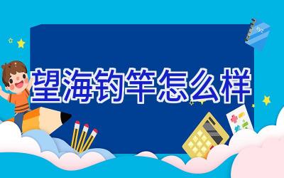 望海钓竿怎么样插图