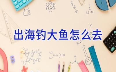 出海钓大鱼怎么去插图