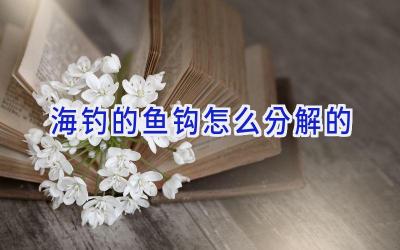 海钓的鱼钩怎么分解的插图