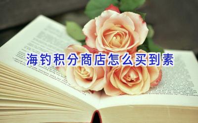 海钓积分商店怎么买到素插图
