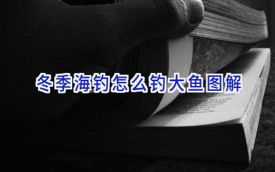 冬季海钓怎么钓大鱼图解插图 冬季海钓怎么钓大鱼图解插图