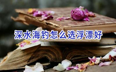 深水海钓怎么选浮漂好插图