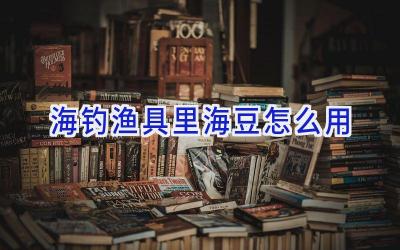 海钓渔具里海豆怎么用插图